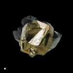 Premiere: Amirali Shakoori – Hiraeth (Wout Records)