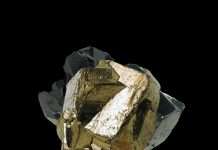 Premiere: Amirali Shakoori – Hiraeth (Wout Records)