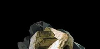 Premiere: Amirali Shakoori – Hiraeth (Wout Records)