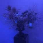 Stream: October returns to Honey Soundsystem with Eviction EP