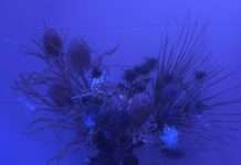 Stream: October returns to Honey Soundsystem with Eviction EP