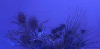 Stream: October returns to Honey Soundsystem with Eviction EP