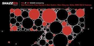 Shazz remixed by Dan Ghenacia, Chez Damier & Ben Vedren, Marc Brauner , Molly and AMS 250 AKA Kusmee