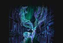 Mr C’s Superfreq welcomes Marcus Stork aka Chords of Stockholm for a fantastic new four track EP