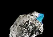 Premiere: Ancestralis – The First Flight Of The Young Seagull(Wout Records)