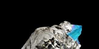 Premiere: Ancestralis – The First Flight Of The Young Seagull(Wout Records)