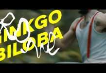 Rone shares video for ‘Ginkgo Biloba’ from Room With A View