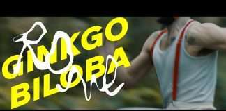 Rone shares video for ‘Ginkgo Biloba’ from Room With A View