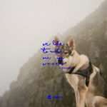 Premiere: Thrown – We Like To Make Our Own Waves(Krmelec Recordings)