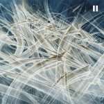 Listen: Two Fingers Single ‘Fight! Fight! Fight!’