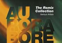 Aurora Borealis The Remix Collection( inc.Petar Dundov, Hiroshi Watanabe, Humantronic, Karim Sahraoui, Christian Burkhardt & Daniel Roth Remix, Da Fresh and Drummer B,…,)