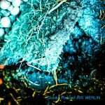 Mix of the Day: Merlin Dubiks Podcast #05