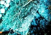 Mix of the Day: Merlin Dubiks Podcast #05