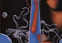 Video Premiere: Awkward Moments ‘La Mort de la Phalène (Mimi Xu remix)