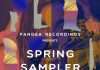 Exclusive Stream: Pangea Recordings Spring Sampler 2020 incl.Hansgod, Audioglider, Matt Rowan, Dan and Dan, Scippo and Med in Mars