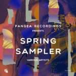 Exclusive Stream: Pangea Recordings Spring Sampler 2020 incl.Hansgod, Audioglider, Matt Rowan, Dan and Dan, Scippo and Med in Mars