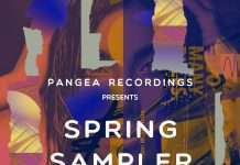 Exclusive Stream: Pangea Recordings Spring Sampler 2020 incl.Hansgod, Audioglider, Matt Rowan, Dan and Dan, Scippo and Med in Mars