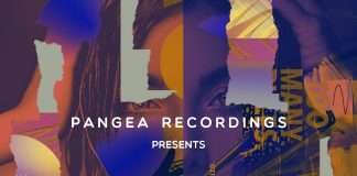 Exclusive Stream: Pangea Recordings Spring Sampler 2020 incl.Hansgod, Audioglider, Matt Rowan, Dan and Dan, Scippo and Med in Mars