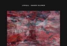 Premiere: Lidvall – Open Mind (Devotion Records)