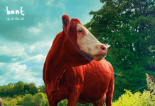 Influential UK electronic act BENT makes their heralded return with new album ‘Up In The Air’