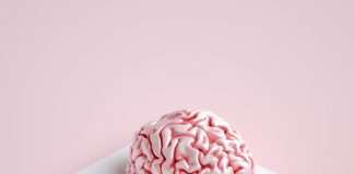 Watch: Ilira unveils music video for Eat My Brain