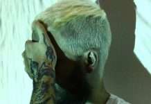 Premiere: OKRAA – Mestizo(Shadow Puppet)