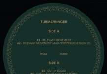 Listen: Turmspringer join up with Mole Audio to release ‘Relevant Movement’ EP( incl. remixes from Mad Professor and Quenum)
