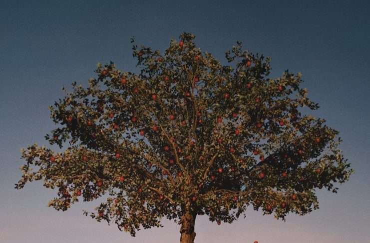 Listen: slowthai releases new album ‘Tyron’