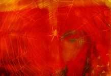 Exclusive Premiere: Issermann – Demons