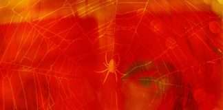 Exclusive Premiere: Issermann – Demons