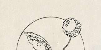 Tracks of the Week: Melodic Journey 08(ConnectFM)