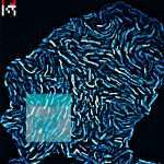 Agoria feat. Ela Minus ‘ What if the dead dream’ is the first single & NFT from the forthcoming album on Sapiens