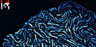 Agoria feat. Ela Minus ‘ What if the dead dream’ is the first single & NFT from the forthcoming album on Sapiens