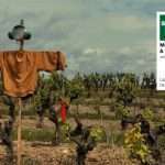 Lisbon will host its first edition of Sónar in 2022