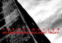 Trentemøller announces No One Quite Like You feat. Tricky