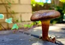 Mark Farina Unveils New Album ‘Isolated Samples ’ On Robsoul