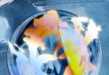 Tracks of the Week: Deep House 13(ConnectFM)