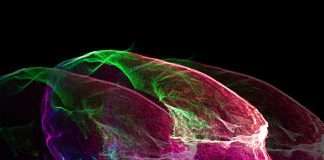 Tracks of the Week: Melodic Journey 13(ConnectFM)