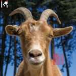 Agoria announces new LP ‘.dev’, drops new single and launches website