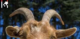 Agoria announces new LP ‘.dev’, drops new single and launches website