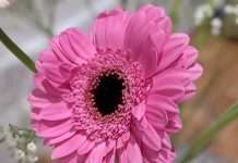 Tracks of the Week: House ConnectFM 12