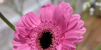 Tracks of the Week: House ConnectFM 12