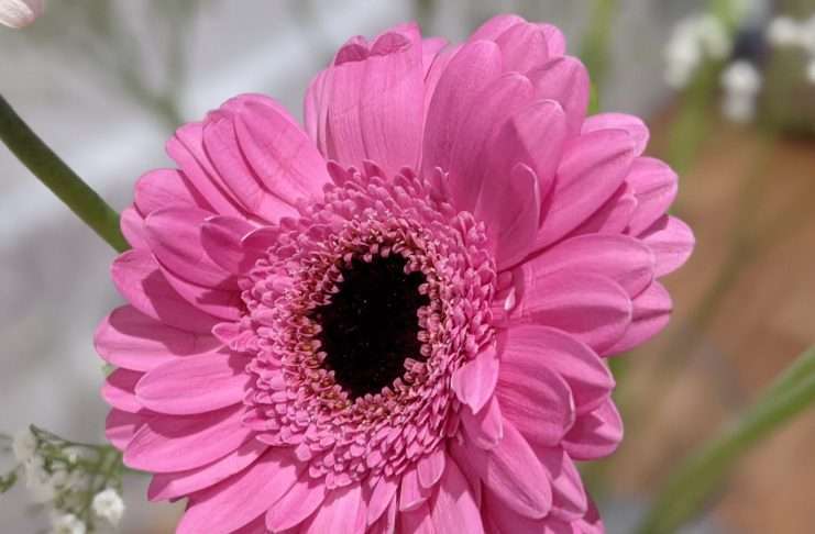 Tracks of the Week: House ConnectFM 12