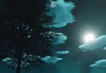 Moe Taha to release new Praise EP on A&M Music