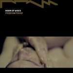 Premiere: Room of Wires – Never Seen Before (Rednetic)