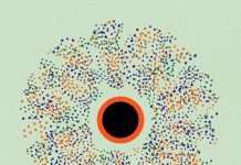 Tracks of the Month: Electronic 1121(ConnectFM)