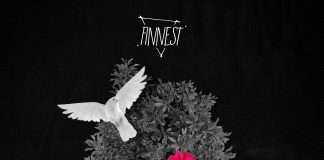 Premiere: Dkatt, Nic David – Sakura (FINNEST)