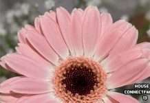 Tracks of the Week: House ConnectFM 13