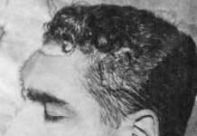 Premiere: Aria Rostami – Bolbol (Sepehr Dark UKG Mix) (Shaytoon Records)