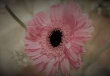 Tracks of the Week: House ConnectFM 15